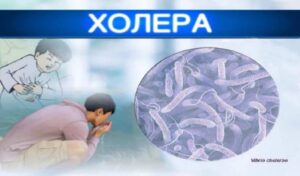 Як захиститися від холери: важливо знати!