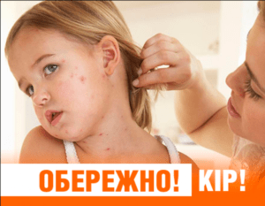 Обережно! Кір!