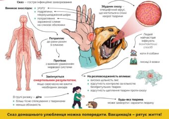 Сказ