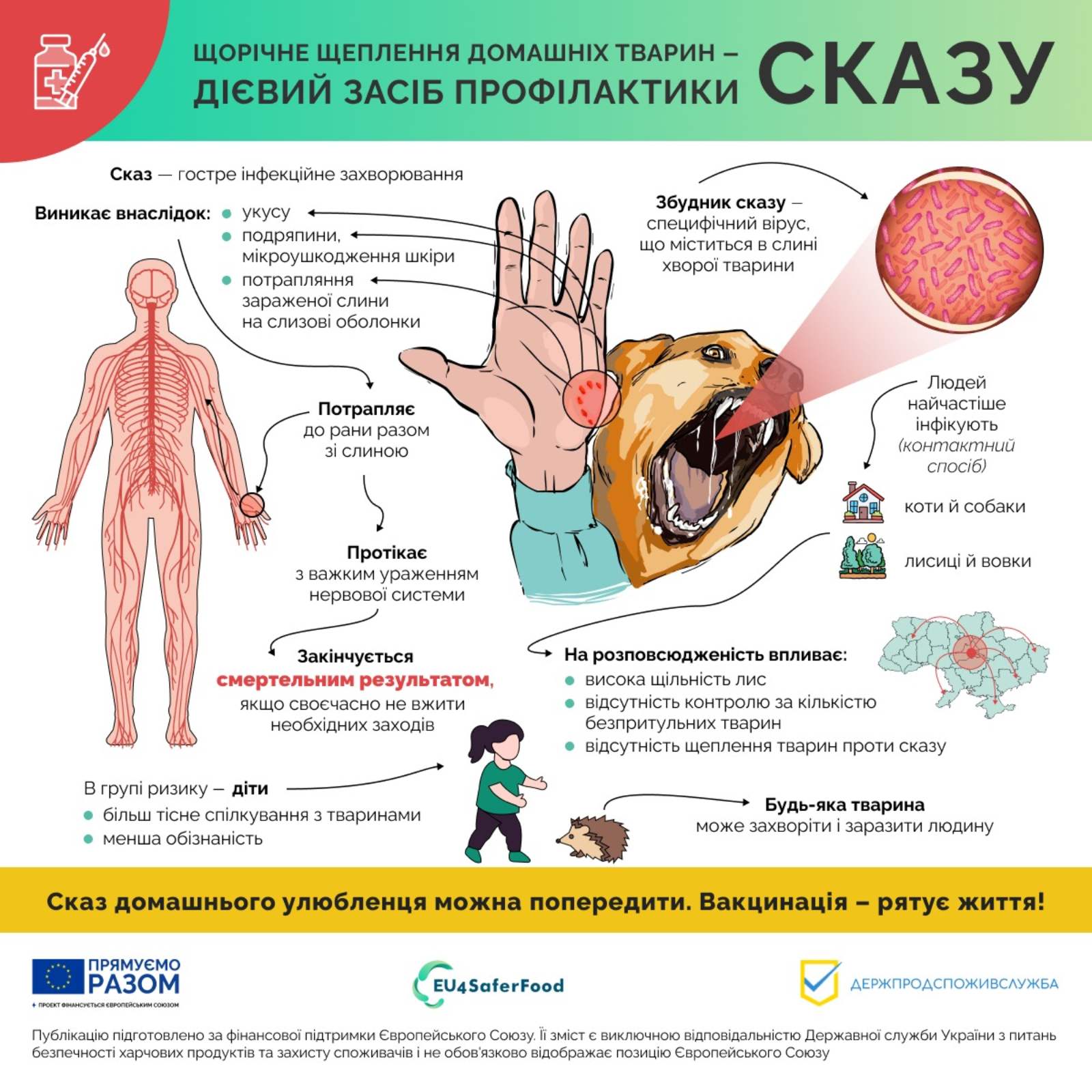 Сказ