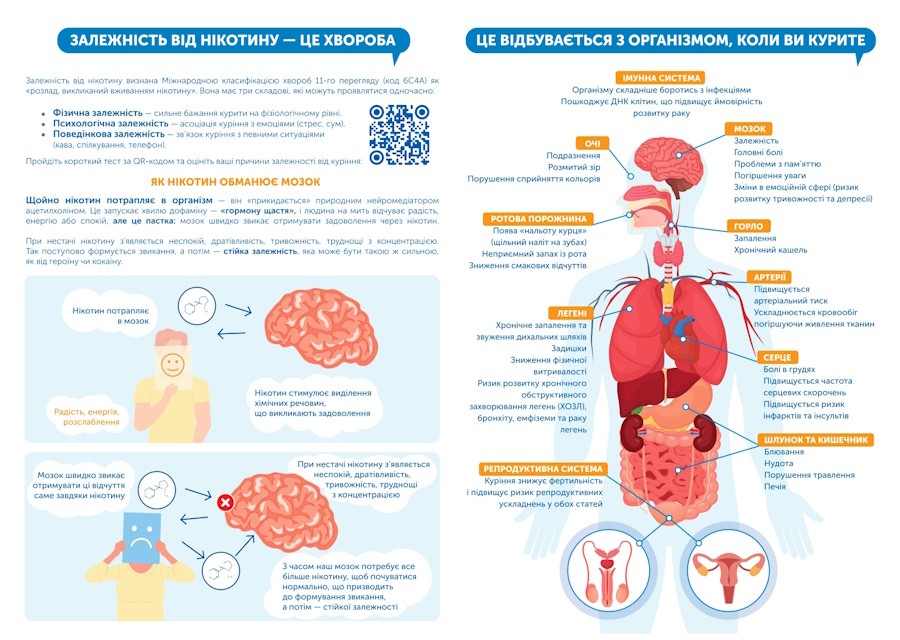 Що варто знати про нікотин